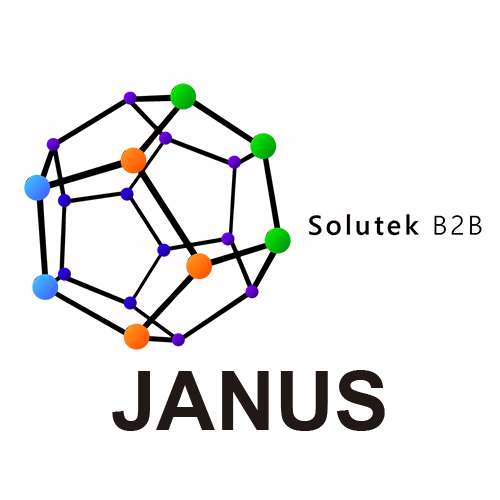 mantenimiento correctivo de monitores Janus