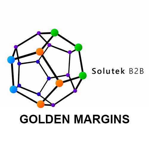 mantenimiento correctivo de monitores industriales Golden Margins
